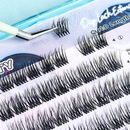 06 Shy Lamb Lashes
